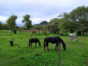 Eladó telek