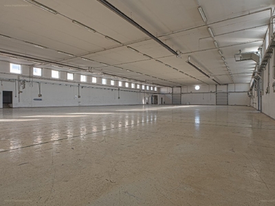 Üszögpuszta, Pécs, ingatlan, üzleti ingatlan, 3000 m2, 5.333.850 Ft