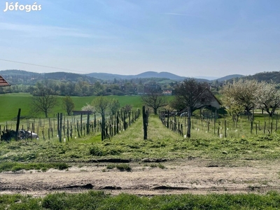 Pécselyen szőlő présházzal eladó!