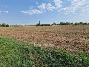 Eladó fejlesztési terület - Felsőzsolca