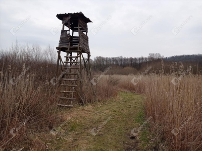 Eladó termőföld, szántó - Zalaegerszeg