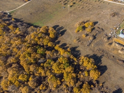 Szentkirályszabadja, ingatlan, üzleti ingatlan, 13000 m2, 210.000.000 Ft