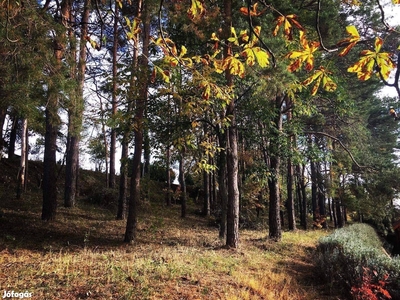 Impozáns telek Kötcsén - Kötcse, Somogy - Telek, föld