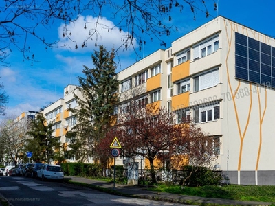 Püspökmajori lakótelep, Szentendre, ingatlan, lakás, 55 m2, 41.500.000 Ft