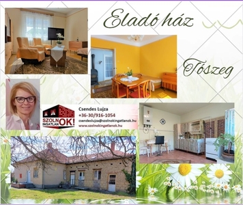 Tószeg, ingatlan, ház, 85 m2, 20.990.000 Ft