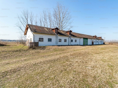 Eladó általános mezőgazdasági ingatlan - Ruzsa, Csongrád-Csanád megye