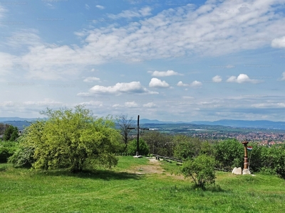 Eladó családi ház - Szada, Szőlőhegy