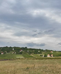 Eladó külterületi telek - Balatonakali, Dörgicsei utca