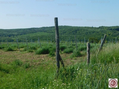 Eladó külterületi telek - Balatonendréd, Somogy megye