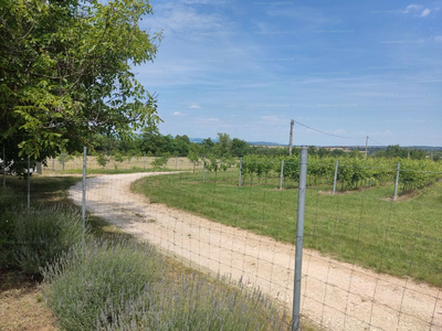 Eladó külterületi telek - Balatonőszöd, Öreghegy