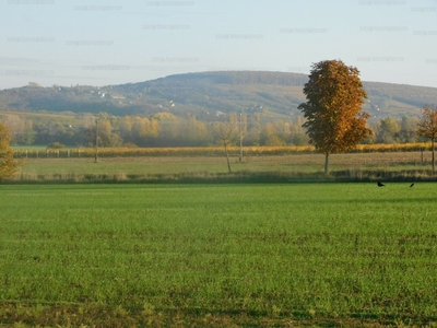 Eladó lakóövezeti telek - Balatonlelle, Központ