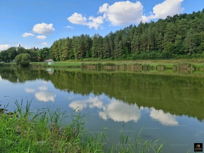 Eladó lakóövezeti telek - Berkenye, Nógrád megye