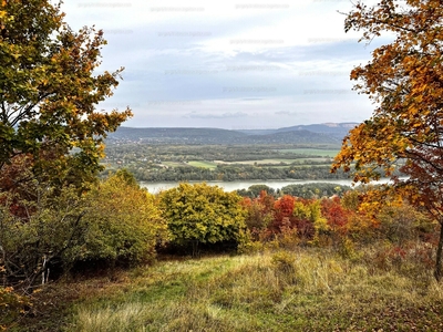 Eladó lakóövezeti telek - Dunabogdány, Pest megye