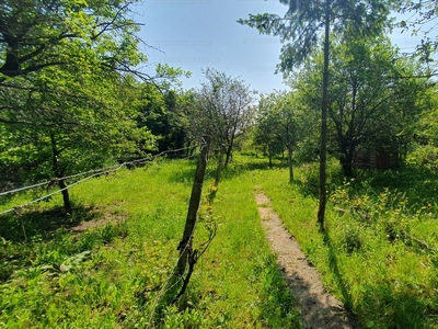 Eladó lakóövezeti telek - Miskolc, Kikerics utca