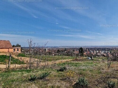 Eladó lakóövezeti telek - Pákozd, Fejér megye