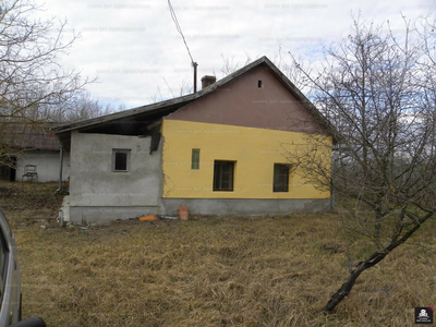 Eladó tanya - Csengele, Csongrád-Csanád megye