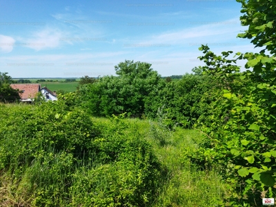 Eladó tanya - Szekszárd, Tolna megye