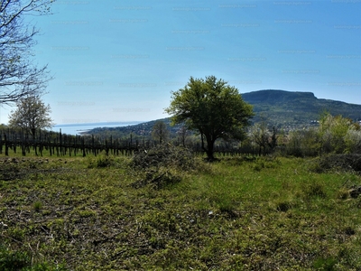 Eladó termőföld, szántó - Badacsonytomaj, Badacsonyörs