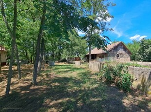 Tiszakécske, ingatlan, mezőgazd. ingatlan, 51 m2, 10.900.000 Ft