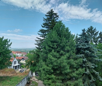 Eladó családi ház - Esztergom, Komárom-Esztergom megye