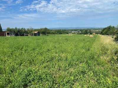 Eladó külterületi telek - Alsópáhok, Szőlőhegy