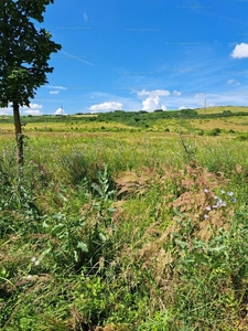 Eladó külterületi telek - Eger, Felnémet