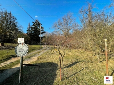 Eladó külterületi telek - Vác, Szarvasbogár utca