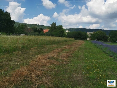 Eladó lakóövezeti telek - Csókakő, Fejér megye