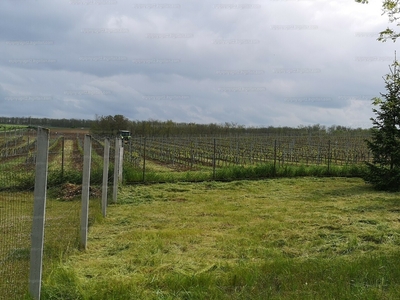 Eladó lakóövezeti telek - Győrszemere, Szőlőhegy