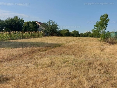 Eladó lakóövezeti telek - Szeged, Zengő utca 13.