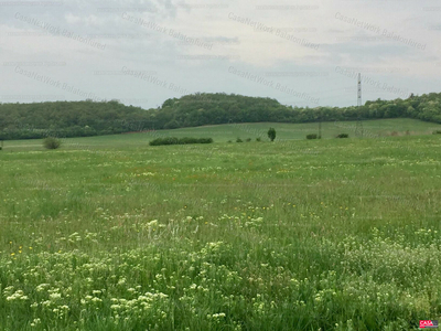 Eladó termőföld, szántó - Balatonszőlős, Veszprém megye