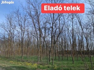 Eladó telek Szarkásban.