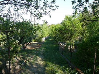 Hejőpark telek borospince zászló utca - Miskolc, Borsod-Abaúj-Zemplén - Telek, föld