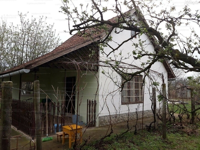 Horgászás - strandolás - kertészkedés - Orosháza, Békés - Nyaralók, üdülők