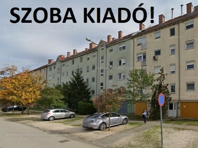 Kiadó tégla lakás - Kecskemét, Bács-Kiskun megye