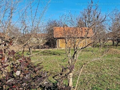 Eladó lakóövezeti telek - Szeged, Gyálarét