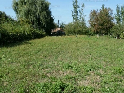 Eladó lakóövezeti telek - Tiszacsege, Hajdú-Bihar megye