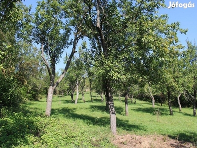 Eladó 6100 m2 építési telek, Varbóc