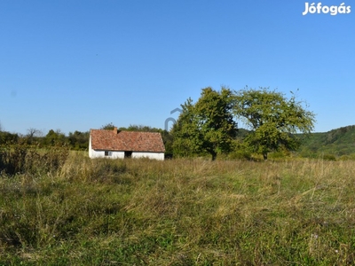 Holládi eladó vegyesfalazatú családi ház