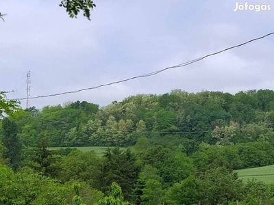 Telek a Mecsekből jövő Baranya-csatorna mellék-vízfolyásának völgyében