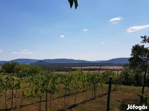 Alkuképes! Veszprém megyében, a Balatontól nem messze nyaraló telek