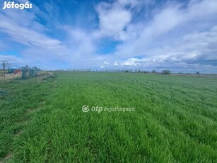 Eladó Mezőgazdasági, Kisújszállás