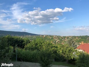 Mária dűlőben zártkerti hétvégi ház eladó!