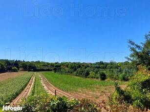 Balatonszárszón zártkerti telkek eladó