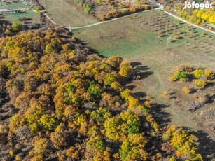 Eladó Ipari, Szentkirályszabadja 500.000.000 Ft