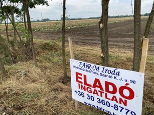 Eladó Termőföld - Szeged