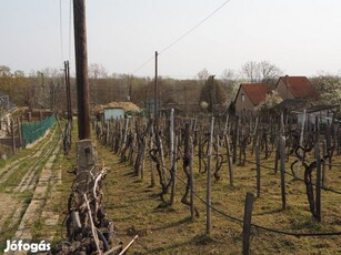 Szekszárdi eladó telek