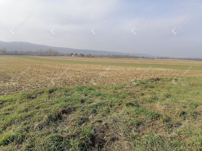 Gyirmót, Győr, ingatlan, üzleti ingatlan, 8149 m2, 43.000.000 Ft