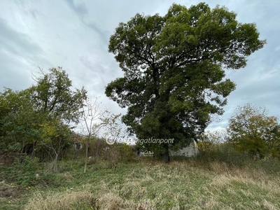 Kunszentmiklós, ingatlan, ház, 71 m2, 7.000.000 Ft