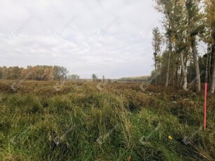 Eladó mezogazdasagi ingatlan Alsópáhok